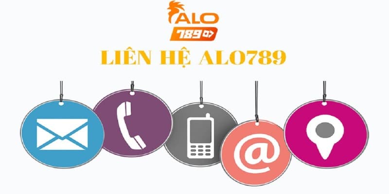 Bạn cần nhờ đến dịch vụ hỗ trợ chăm sóc khách hàng của Alo789 khi cần